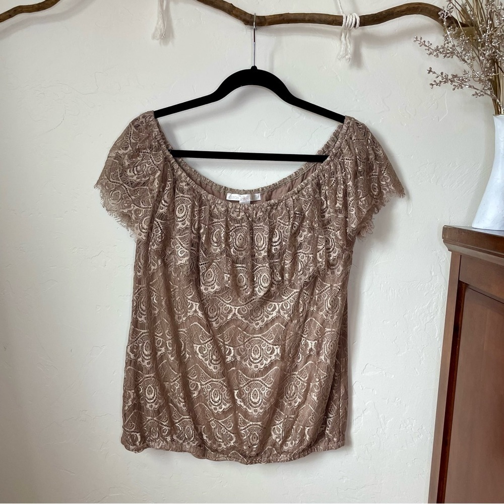 Boston Proper Tan Lace Off The Shoulder Blouse